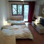 Apartamentul Brandusa
