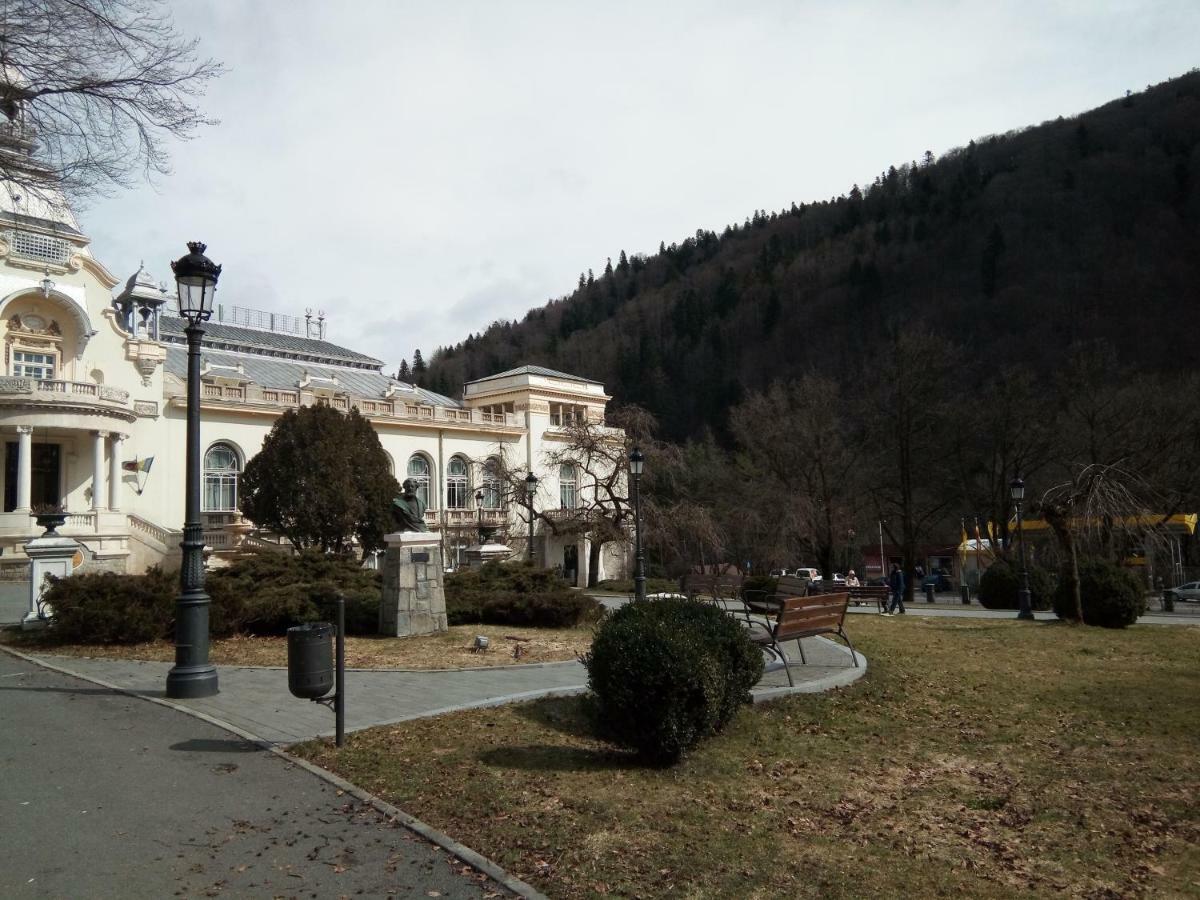 Apartament Apartamentul Brandusa *