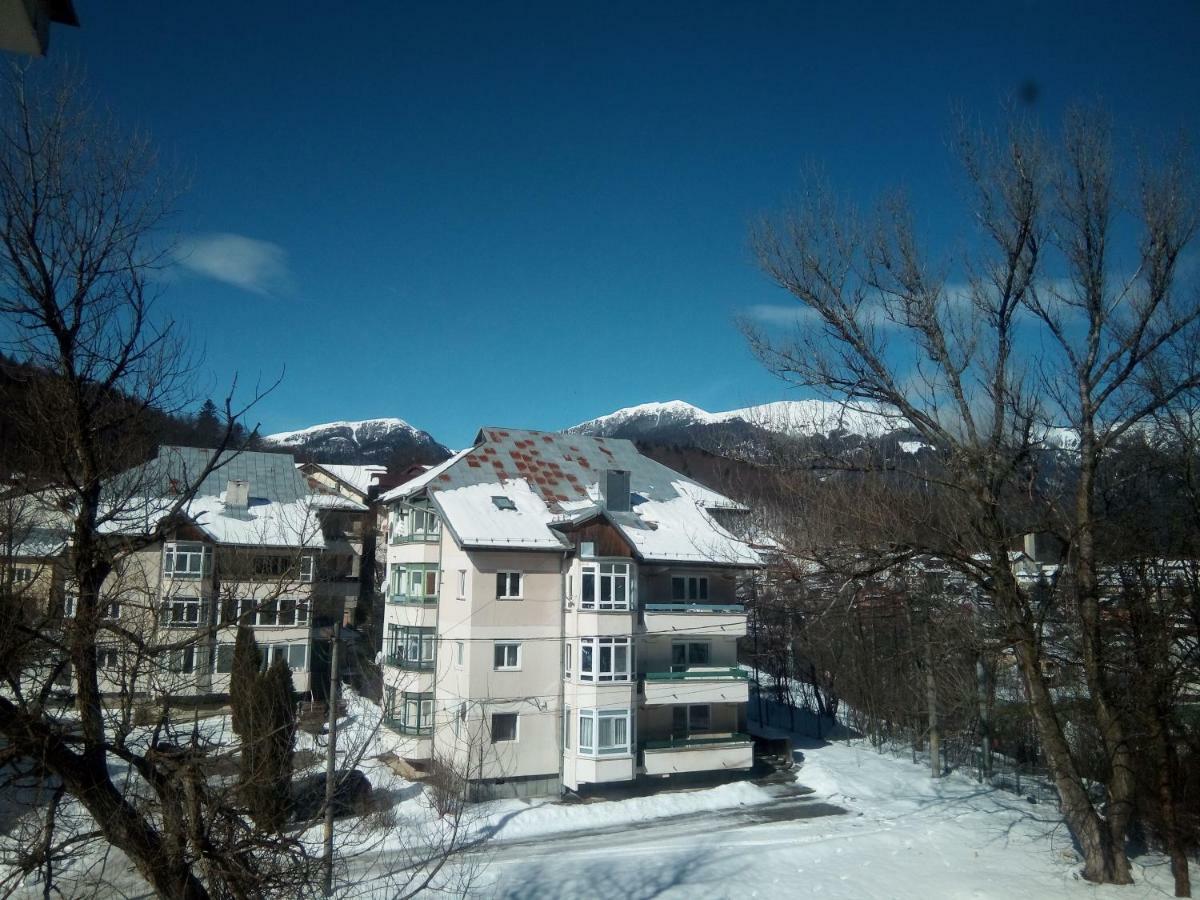 Apartamentul Brandusa