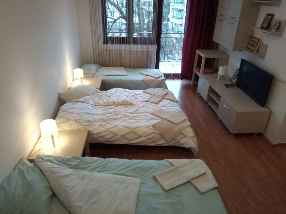 Apartament Apartamentul Brandusa *