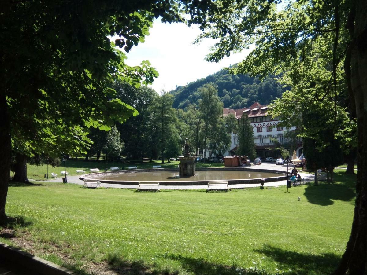 Apartamentul Brandusa