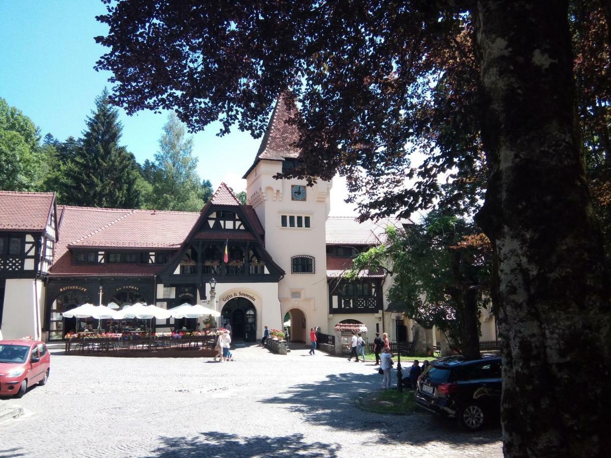 Apartamentul Brandusa Sinaia