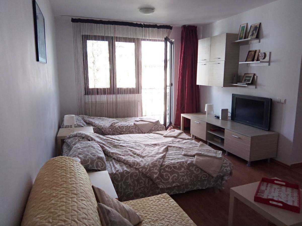 Apartamentul Brandusa